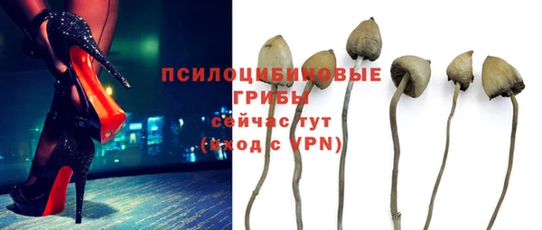сатива Алексеевка