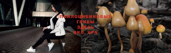 mdpv Алзамай