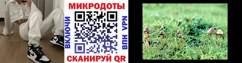 Галлюциногенные грибы прущие грибы  даркнет сайт  Спасск-Рязанский 
